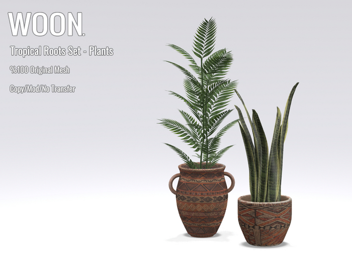 WOON. - Tropical Roots - Plants