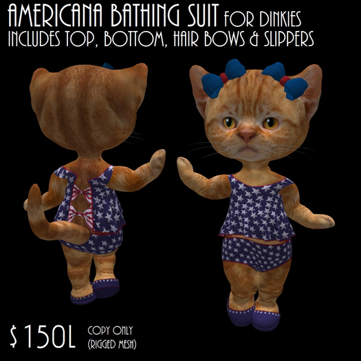 AMERICANA BATHING SUIT