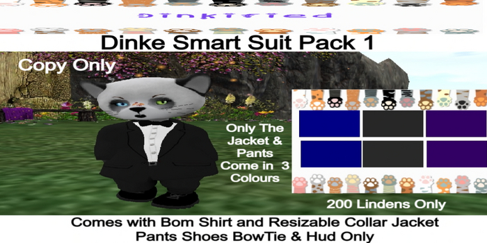 200Dinkified Dinkie Smart Suit Pack 1