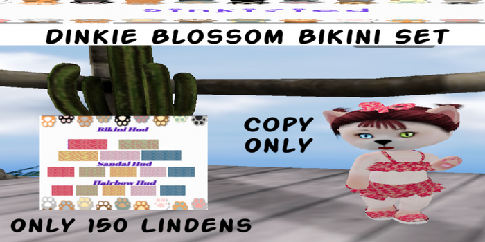 150Dinkified Dinkie Blossom Bikini Set