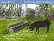 ANIMALS Watering hole & Donkey