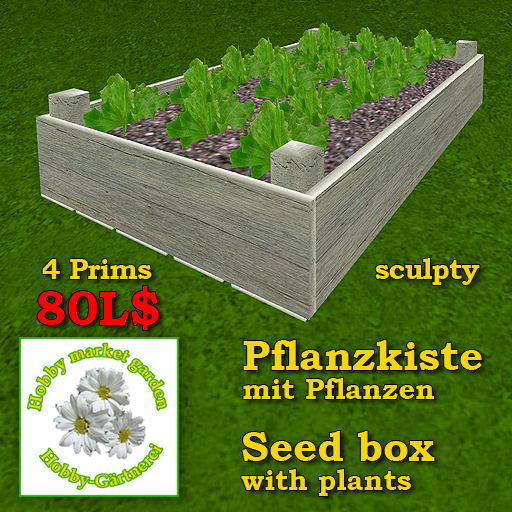 Seed box with plants