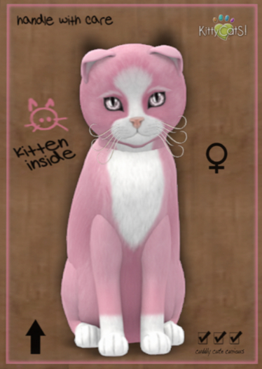 9T KittyCatS Box - Chateau Cat - Pink & White No. 1 (female)