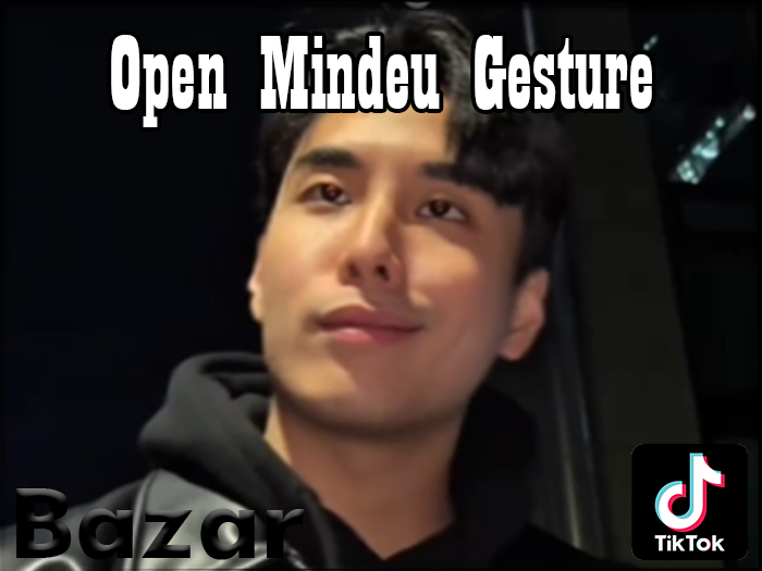 BAZAR - Open Mindeu Gesture