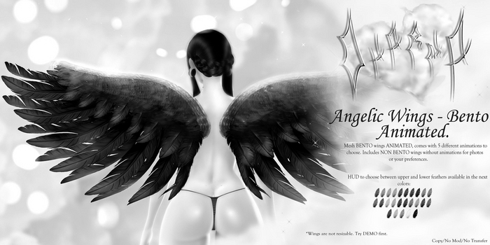 Dharma - Angelic Wings - DEMO.