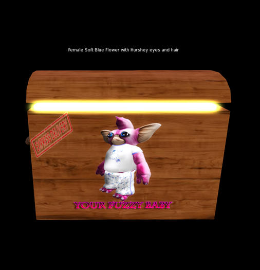 oYo Bundle - Female Soft Blue Flower 1