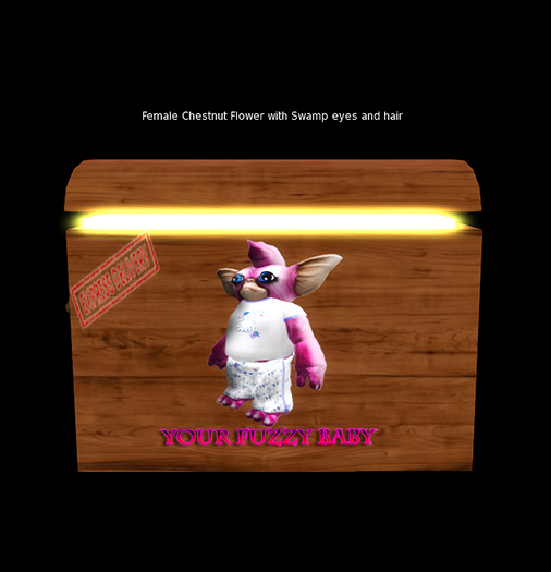 oYo Bundle - Female Chestnut Flower 1