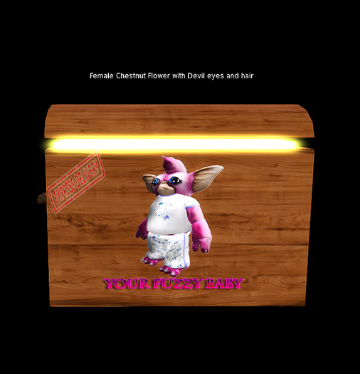 oYo Bundle - Female Chestnut Flower 2