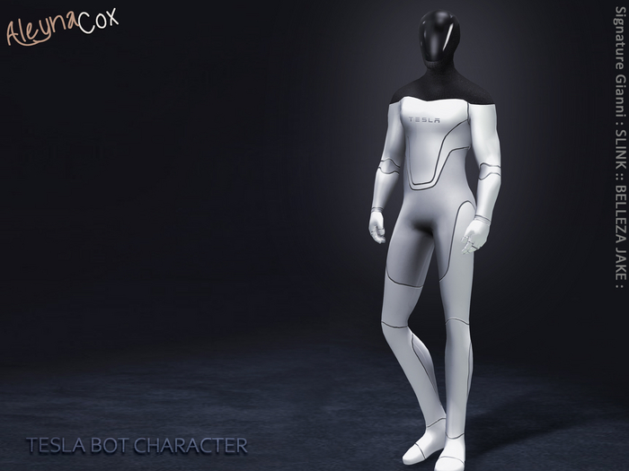 [ALEYNACOX] - TESLA BOT CHARACTER