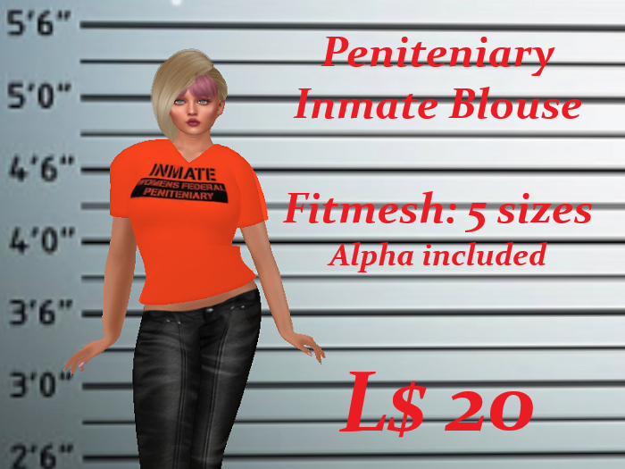 Inmate Ladies blouse