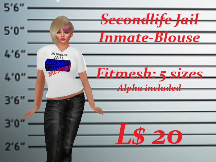 Secondlife Inmate Blouse