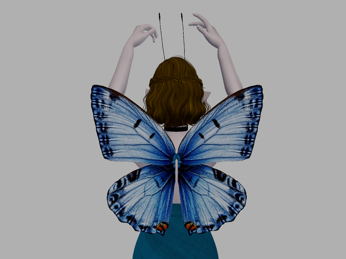 Blue Butterfly Wings