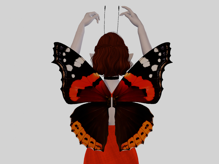 Fall Butterfly Wings