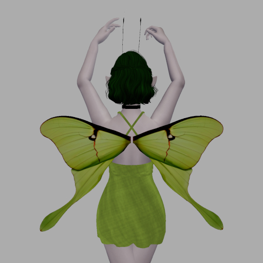 Long Green Moth WIngs