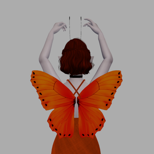 Orange Butterfly Wings