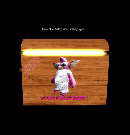 oYo Bundle - Male Blue Teddy