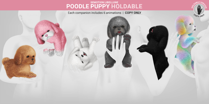 SEmotion Libellune Poodle Puppy Holdable 06 [ Rainbow ]