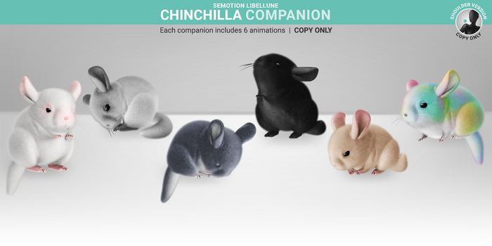 SEmotion Libellune Chinchilla Companion 01 [ White ]