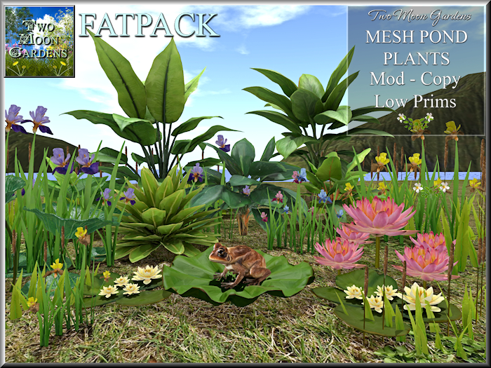 Pond Plants