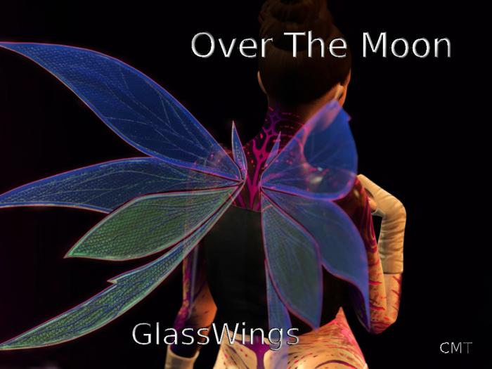 PBR Glasswings OvertheMoon