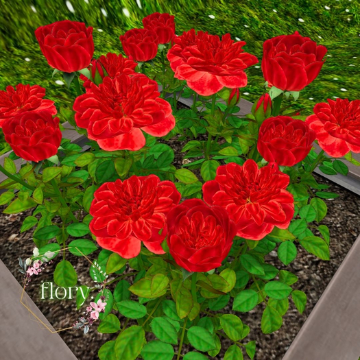 flory. - Red Roses Planter 2025
