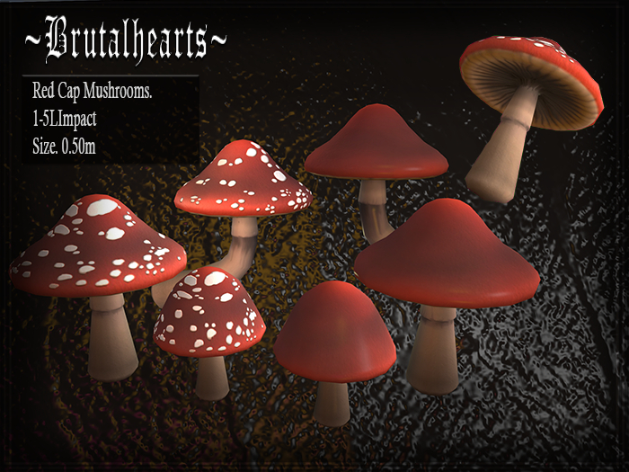 ~BH~ Red Cap Mushroom Decor +Kit