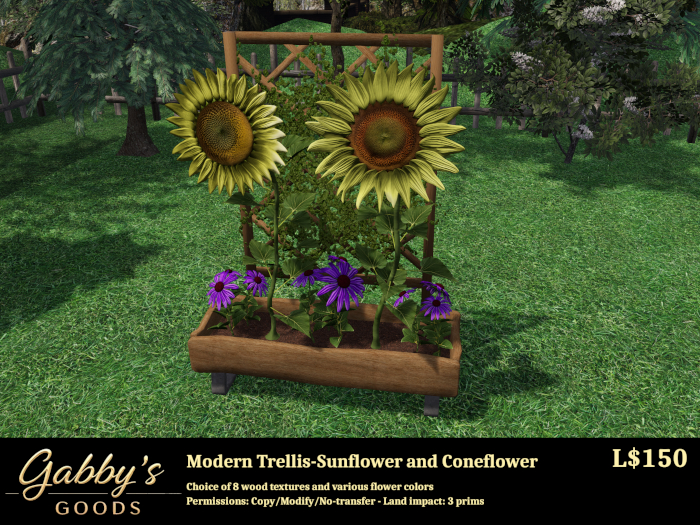 Modern Trellis - Sunflower and Coneflower
