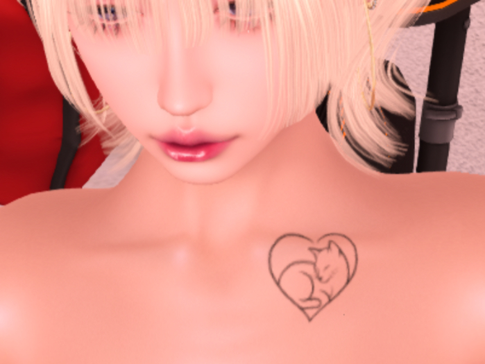 catlove-chest
