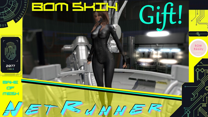 [MSLS] Cyberpunk Netrunner - Gift