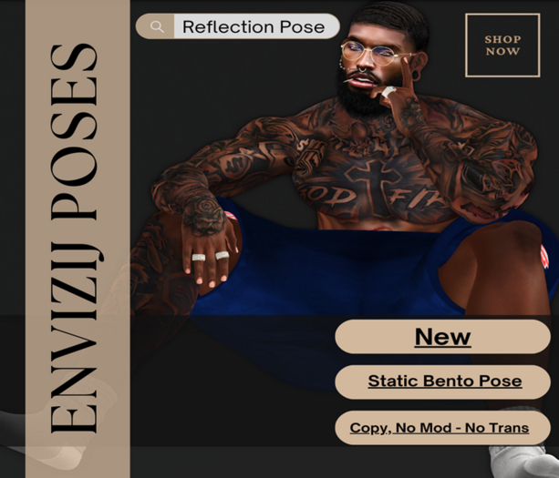 Envizij Poses: Reflection Pose