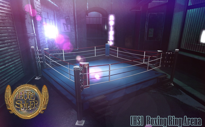 [HS]  Boxing Ring Arena