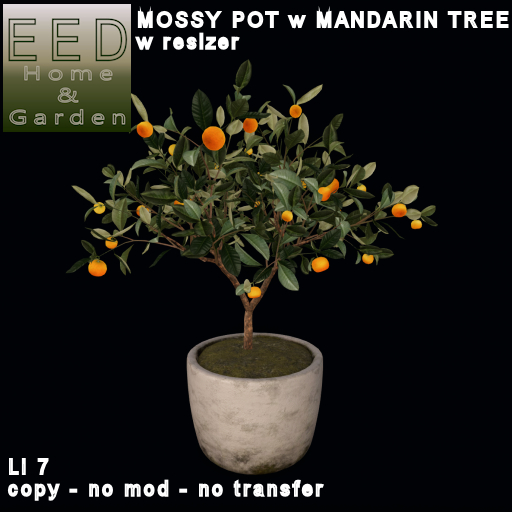 EED's MOSSY POT w MANDARIN TREE resizer c