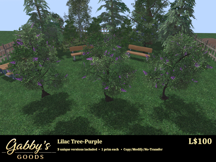Lilac Tree-Purple