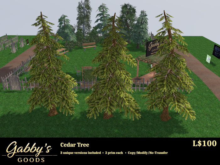 Cedar Tree 3-pack
