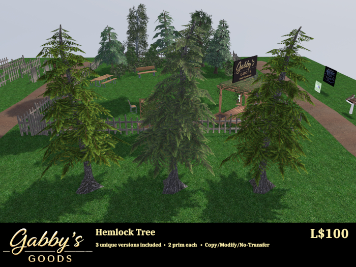 Hemlock Tree 3-pack