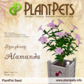 PlantPet Seed [Alamanda *Symphony*] Common
