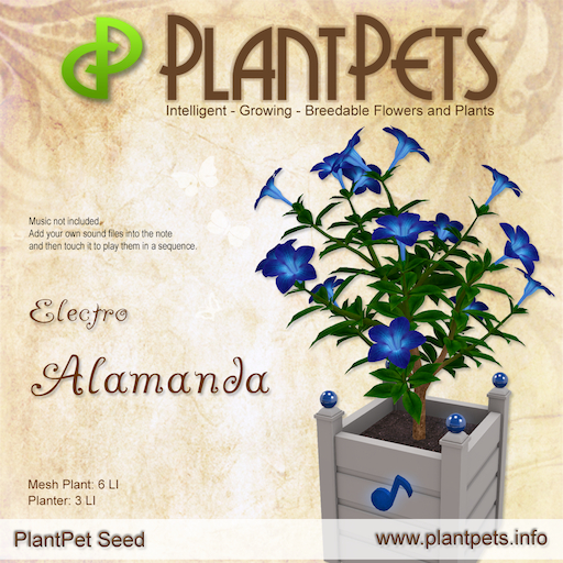 PlantPet Seed [Alamanda *Electro*] Rare