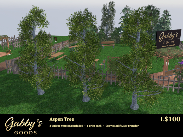 Aspen Tree 3-pack