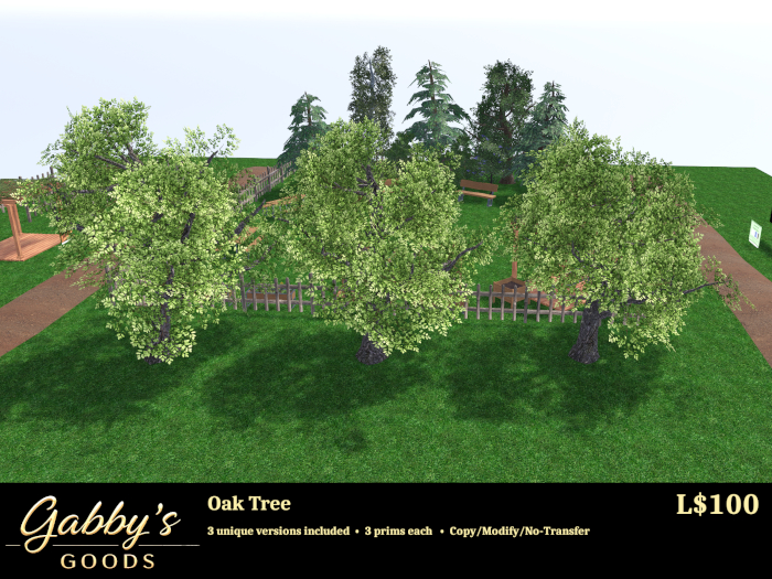 Oak Tree 3-pack