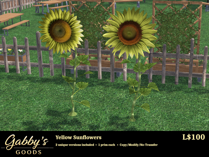 Sunflower Pack-Yellow