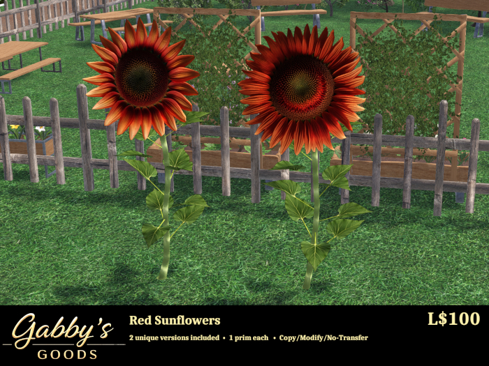 Sunflower Pack-Red