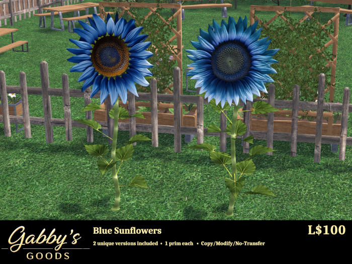 Sunflower Pack-Blue