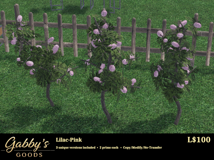 Lilac-Pink