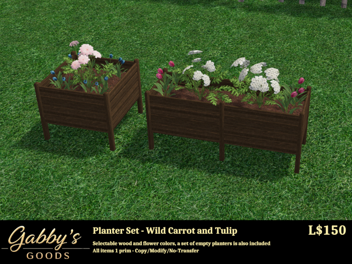 Planter Set-Wild Carrot/Tulip