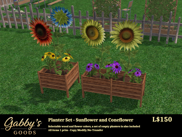 Planter Set-Sunflower/Coneflower