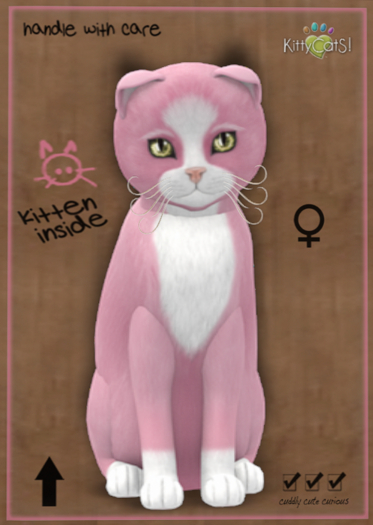 9T KittyCatS Box - Chateau Cat - Pink & White No. 1 (female)