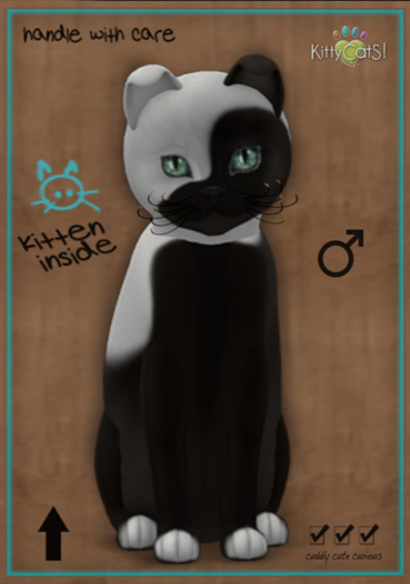 8T KittyCatS Box - Chateau Cat - Cocoa & White No. 1 (male)