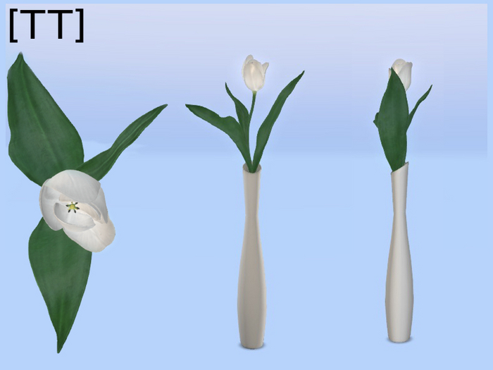 [TT] Vase of a Single Flower - White Tulip