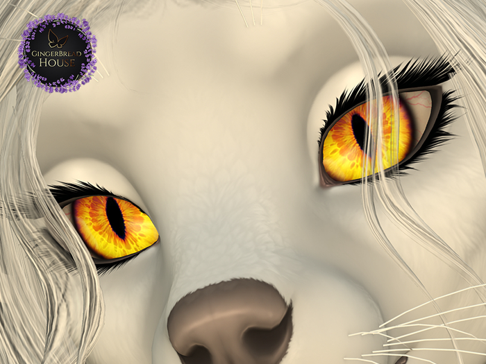 Yellow Eyes Vulpine Head