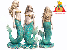  Mermaid Full Perm